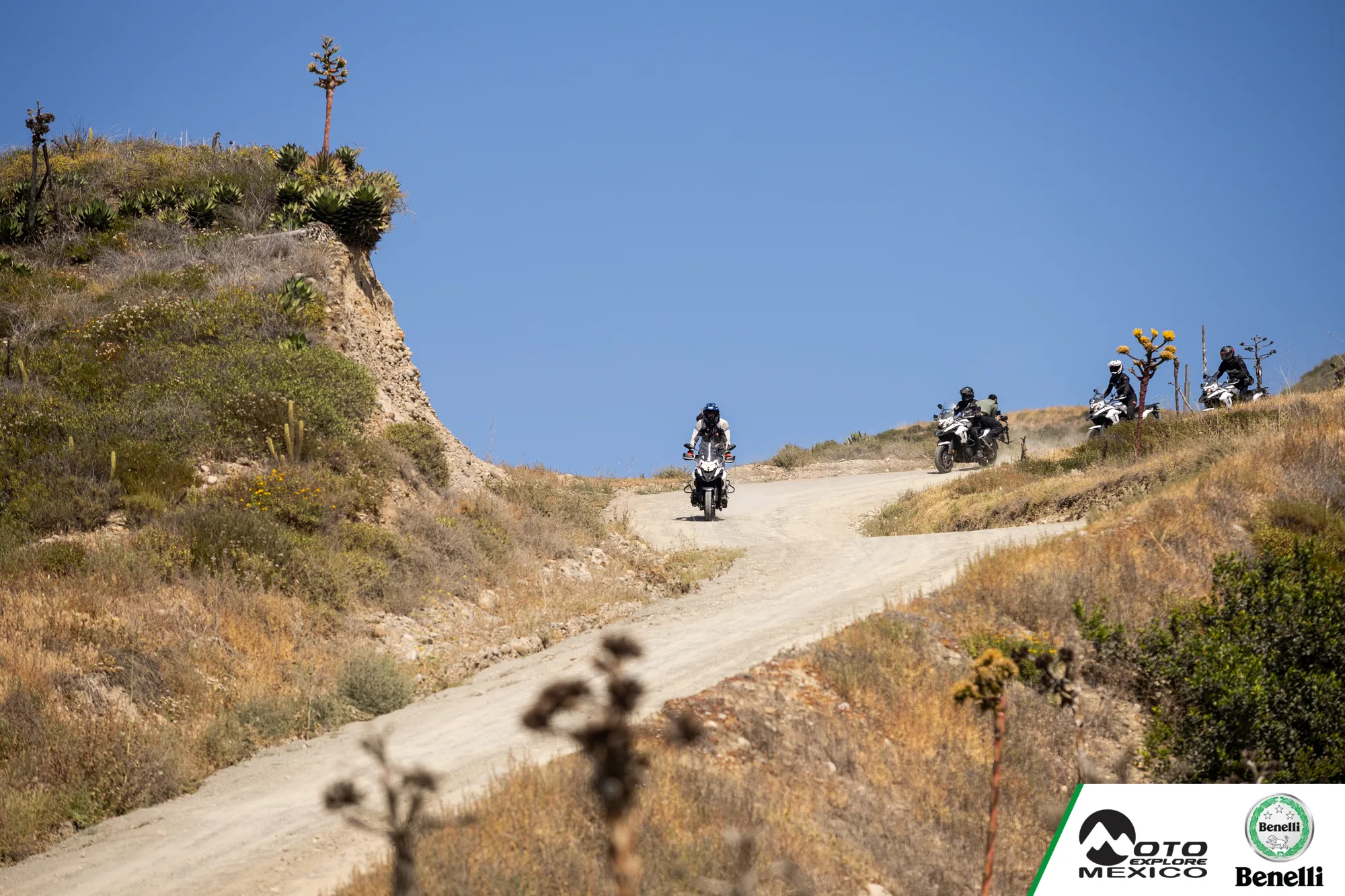BENELLI VALLE 1006