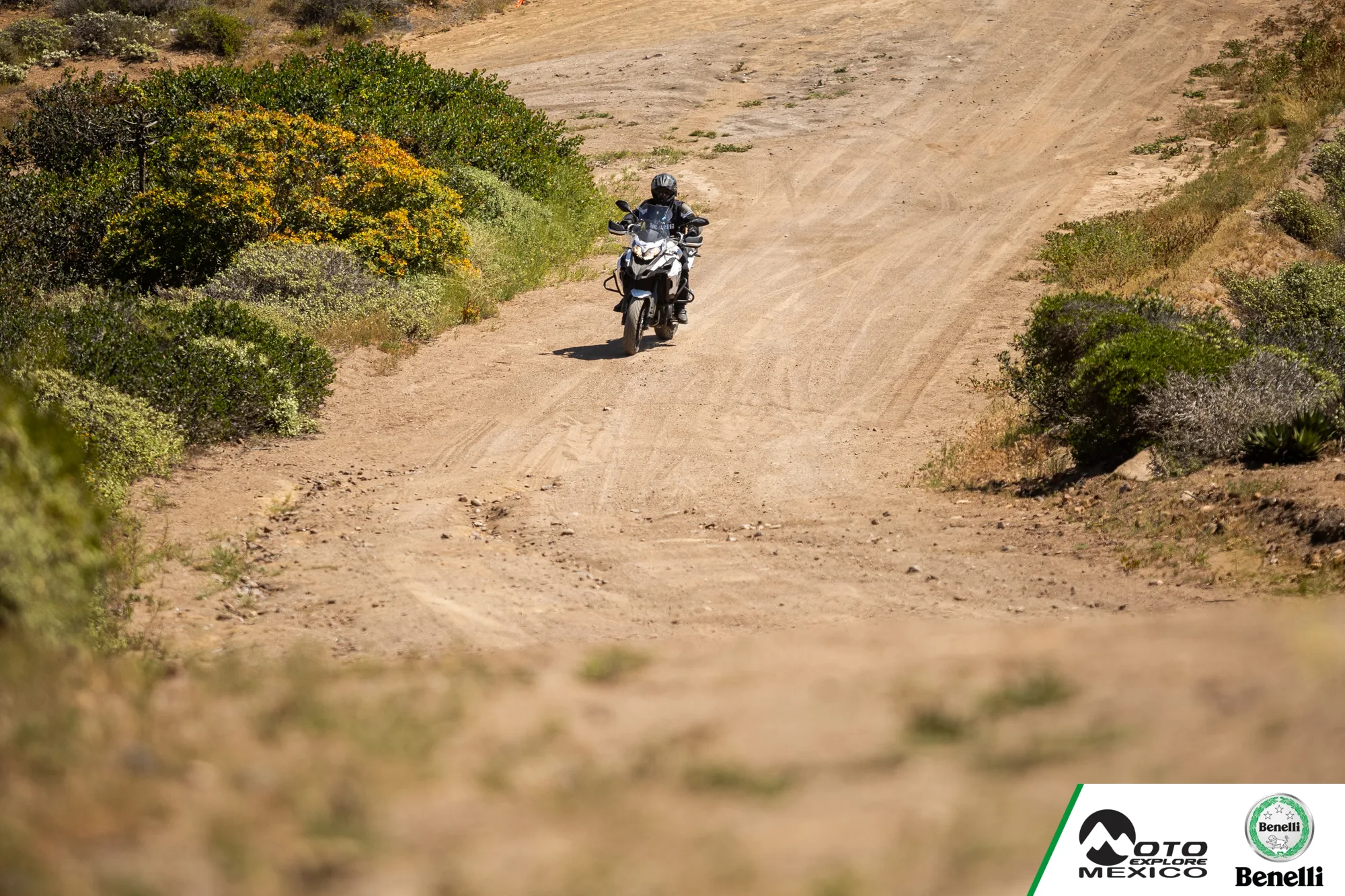 BENELLI VALLE 899