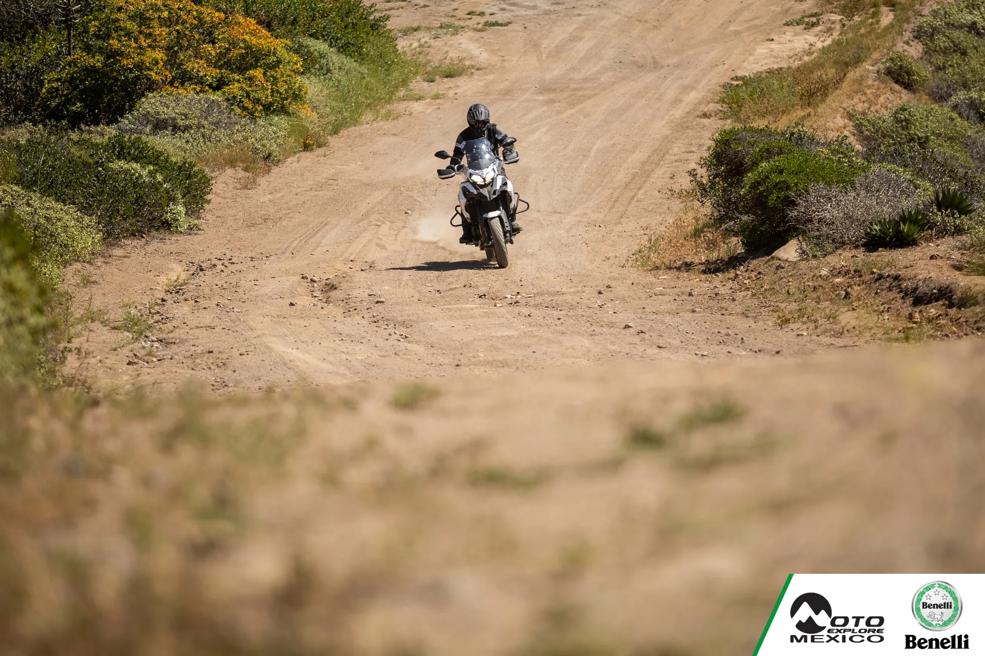 BENELLI VALLE 900