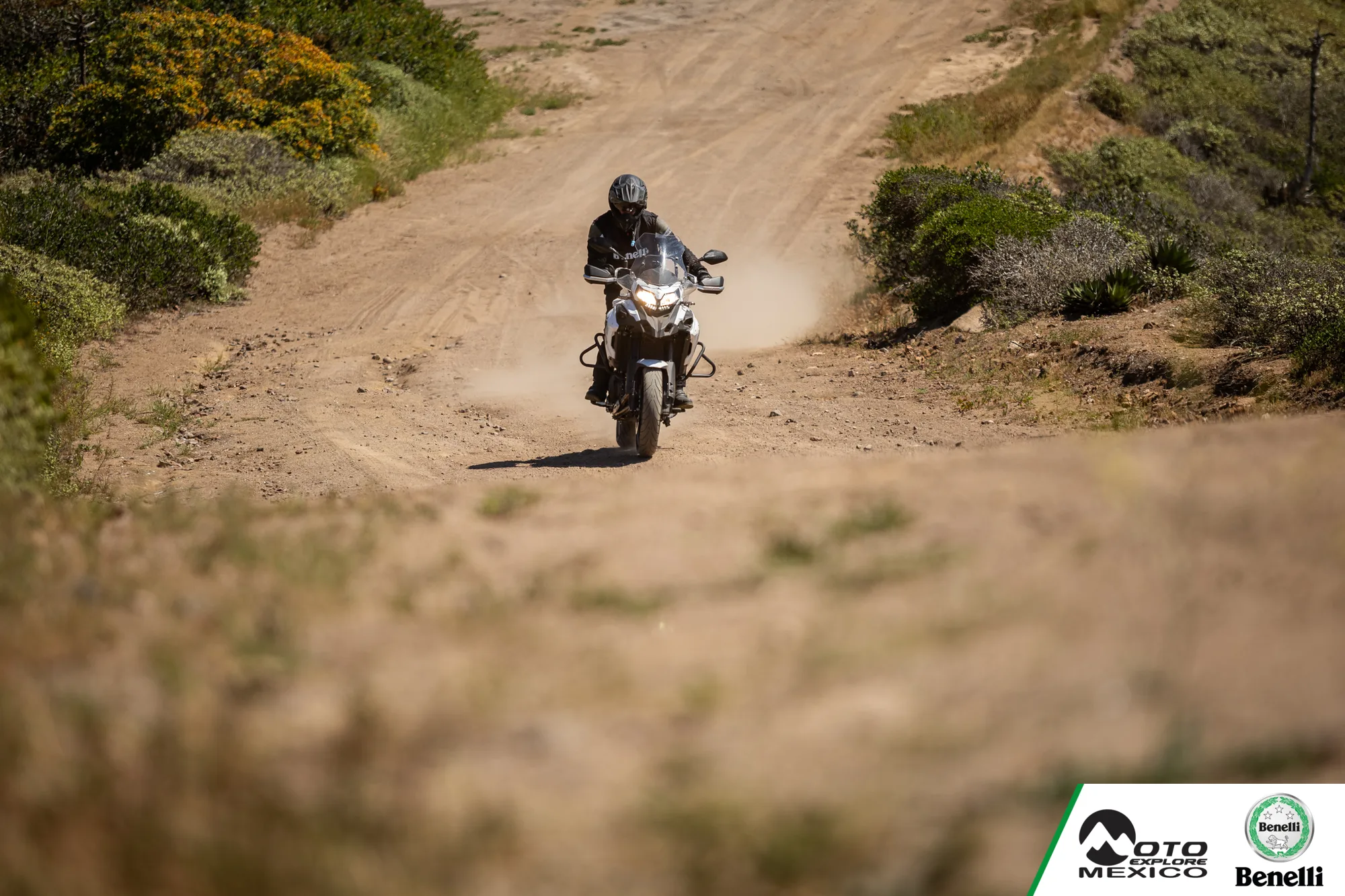 BENELLI VALLE 909